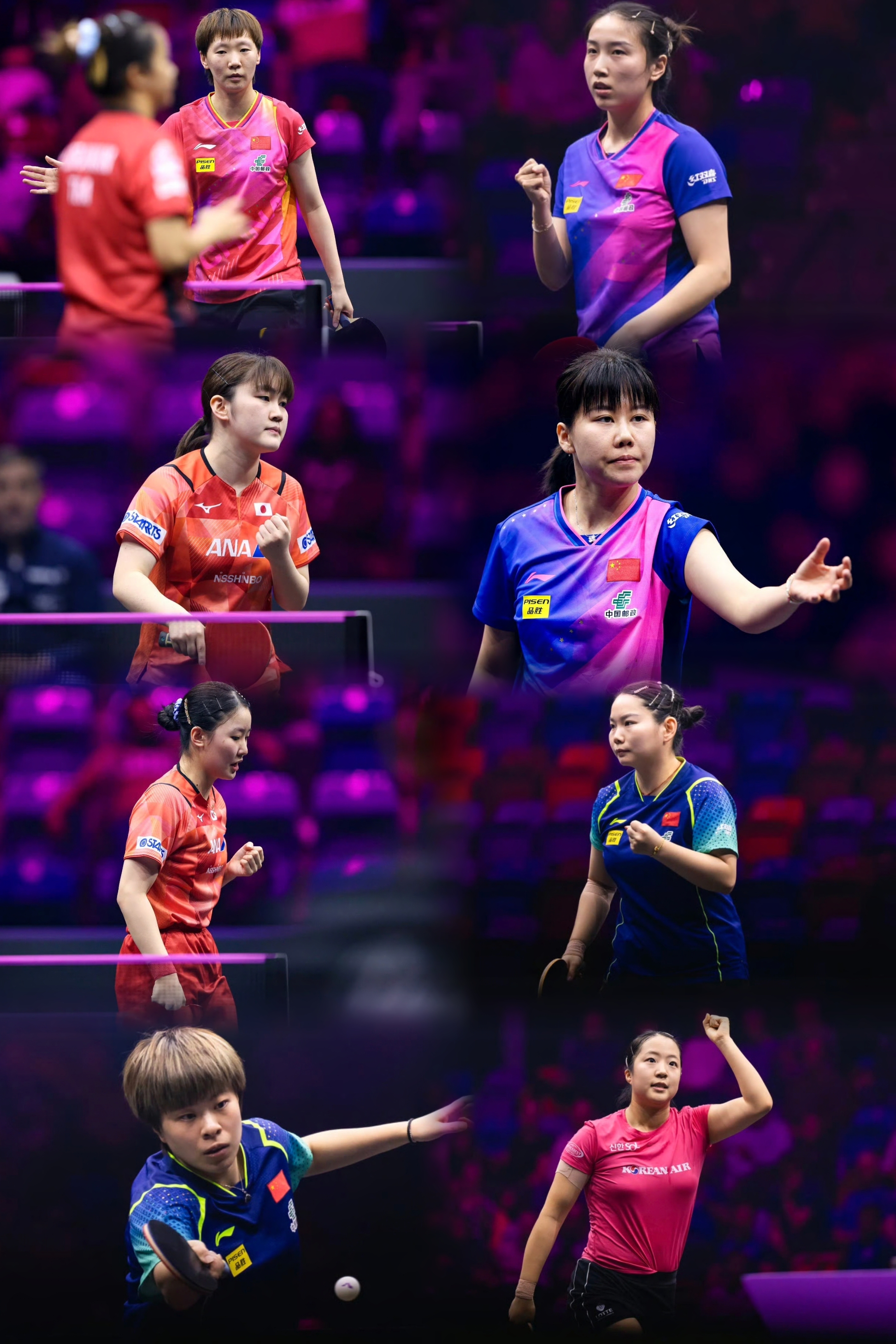 包含体育赛事晋级之路揭晓，谁能登顶巅峰的词条