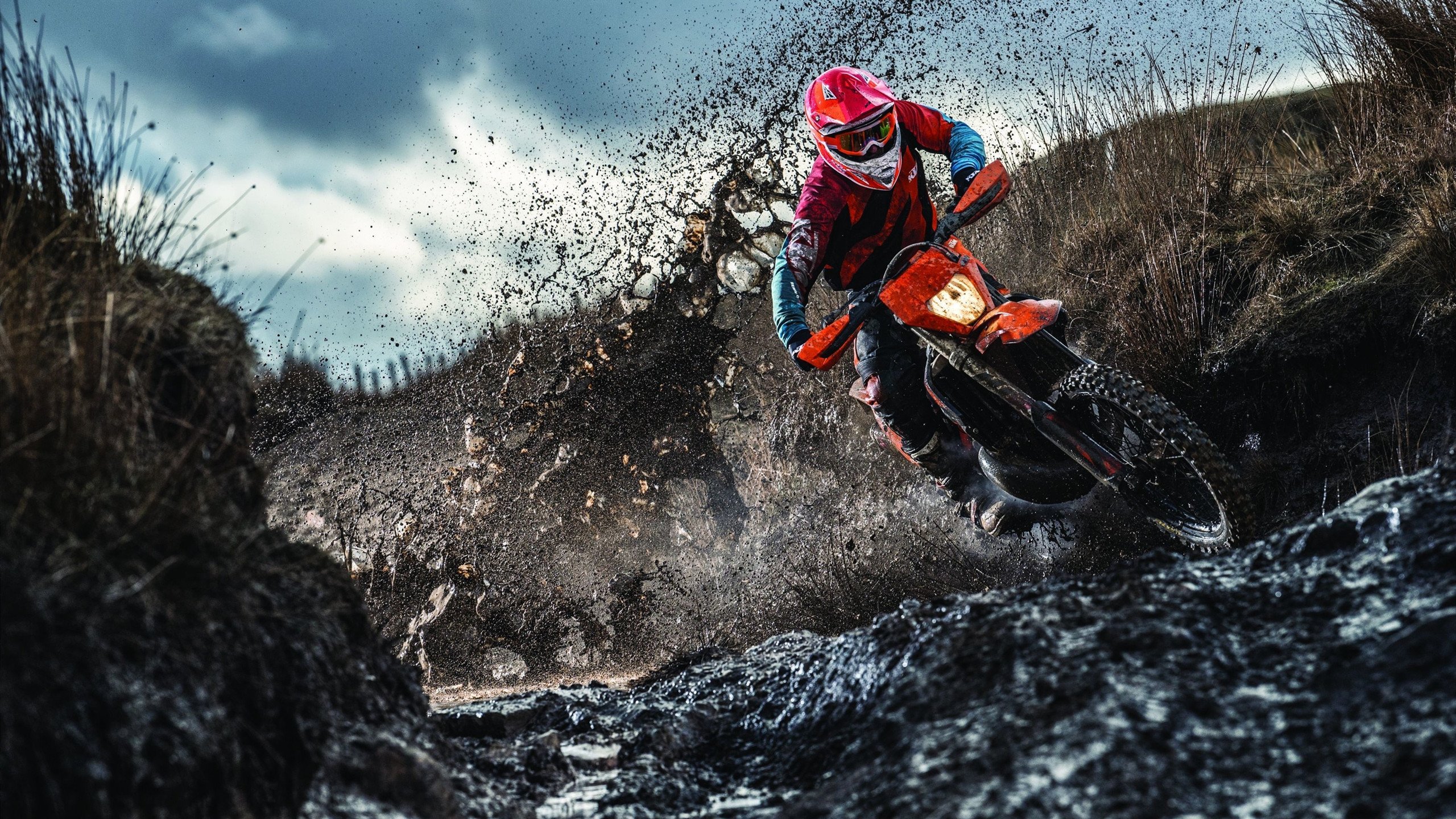 塔图姆的封神之夜，当季后赛压力化为巨星光芒